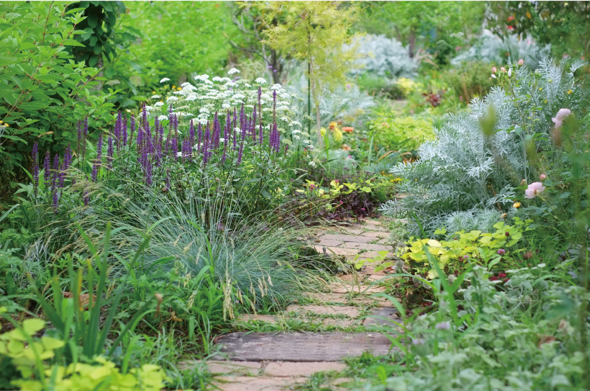 Discover the Tranquil Beauty of Albrighton Hall’s Landscaped Gardens Image