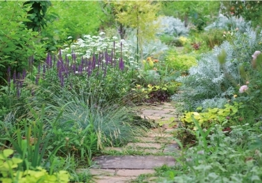 Discover the Tranquil Beauty of Albrighton Hall’s Landscaped Gardens body thumb image